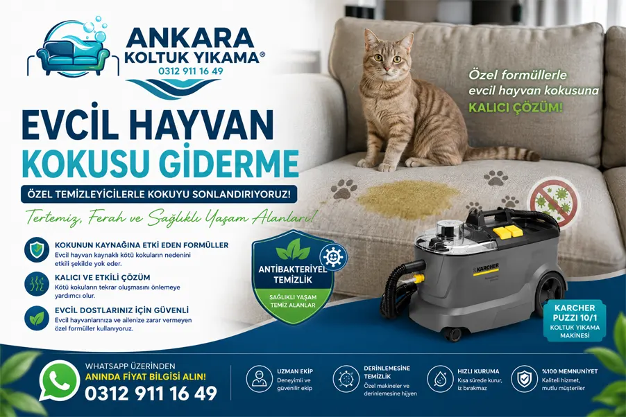 Ankara Buharlı Koltuk Yıkama Hizmeti